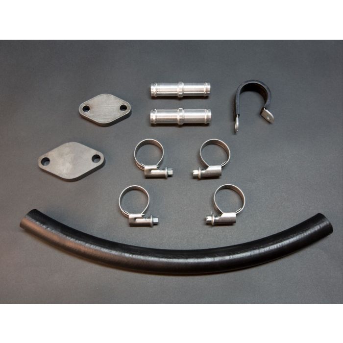 website egr delete kit
